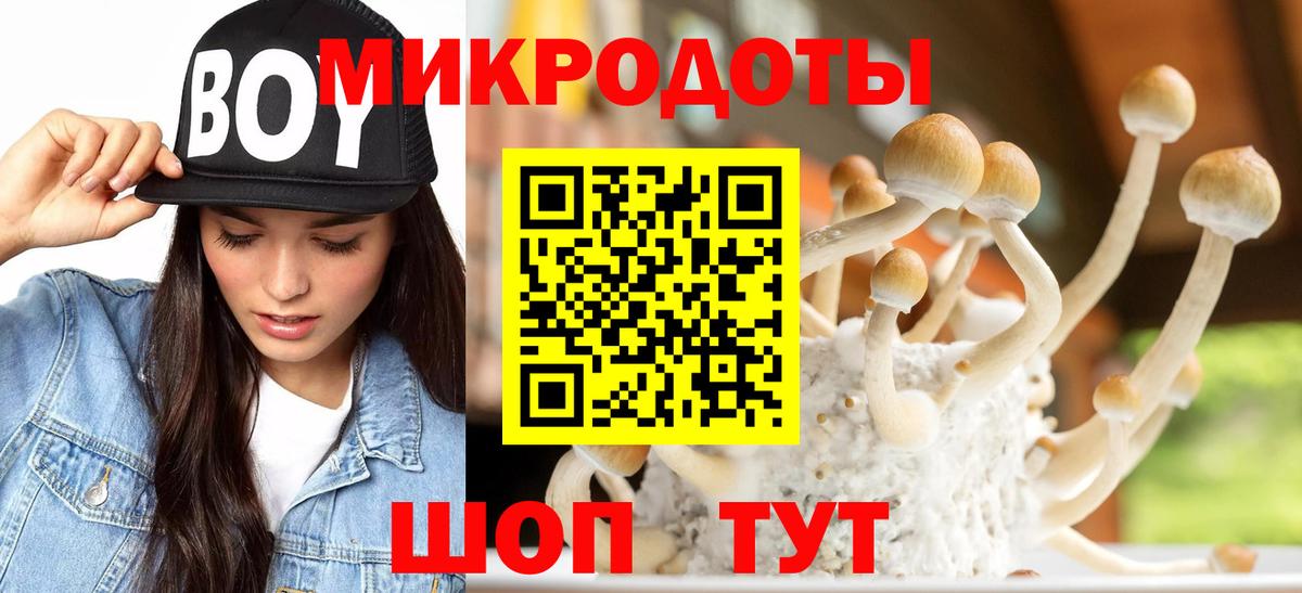 Галлюциногенные грибы GOLDEN TEACHER Клин