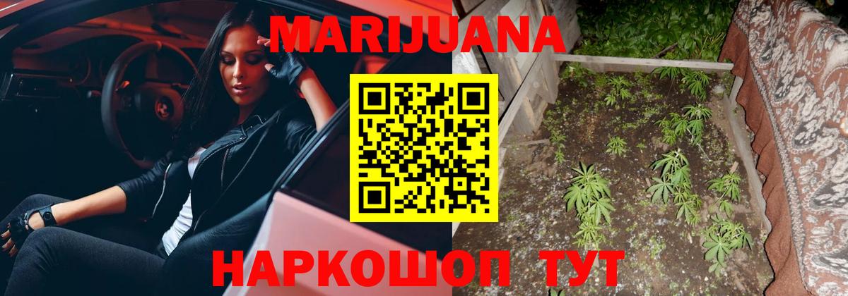 Клин  Шишки марихуана OG Kush  Марихуана гибрид  Вход с VPN  Шишки марихуана Ganja 